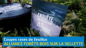 Coupes rases de feuillus : Alliance forêts bois sur la sellette by Télé Millevaches